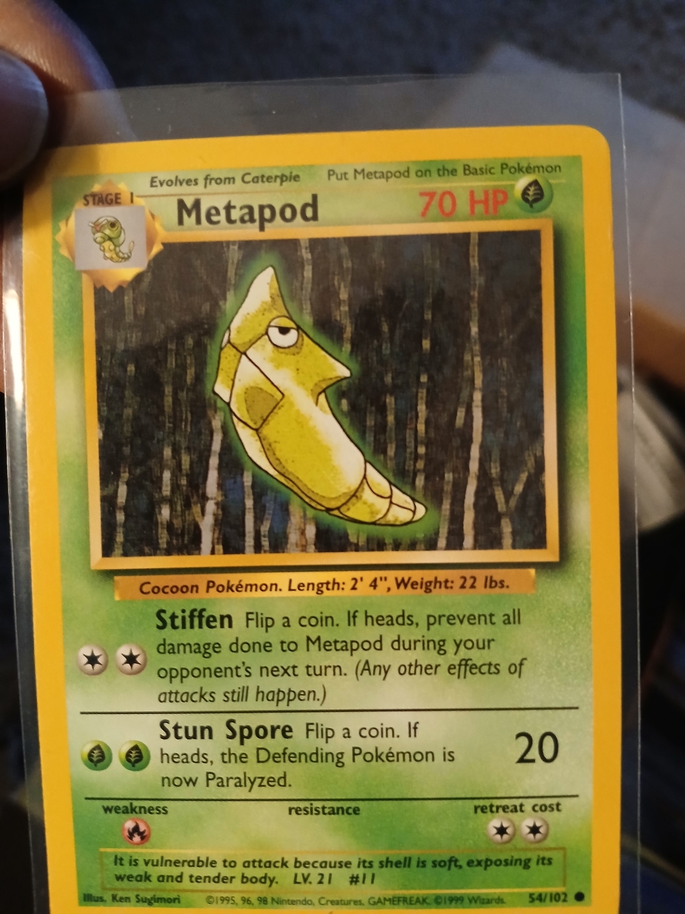 Metapod Pokemon Card